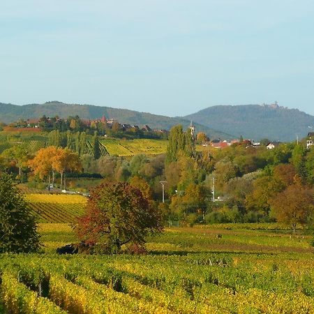 ميتيلوير Le Gm Chambres D'Hotes De Charme En Alsace المظهر الخارجي الصورة