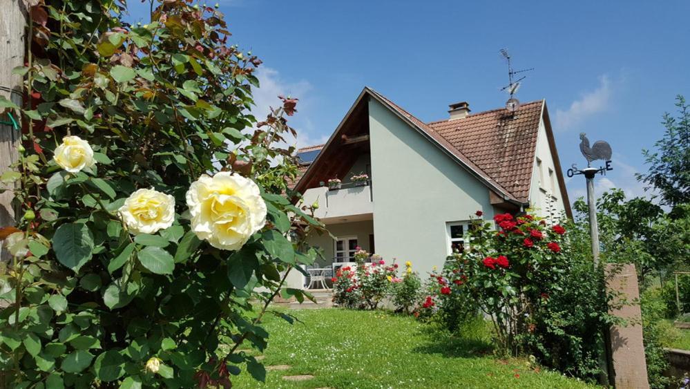 ميتيلوير Le Gm Chambres D'Hotes De Charme En Alsace المظهر الخارجي الصورة